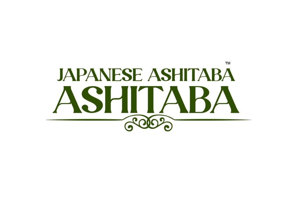 japanese ashitaba