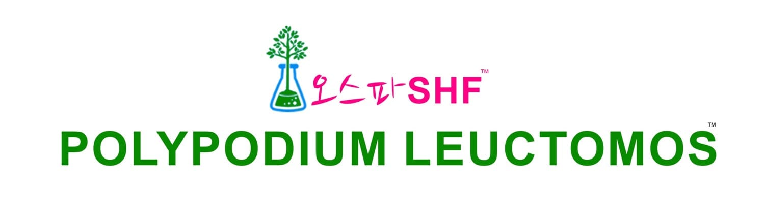 polypodium leuctomos