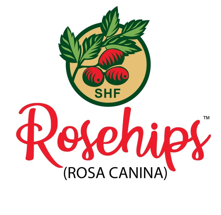 rosehips rosa